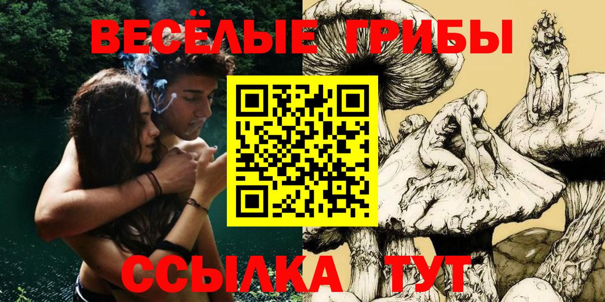 Галлюциногенные грибы GOLDEN TEACHER  Вход с VPN  где купить   Курчатов 