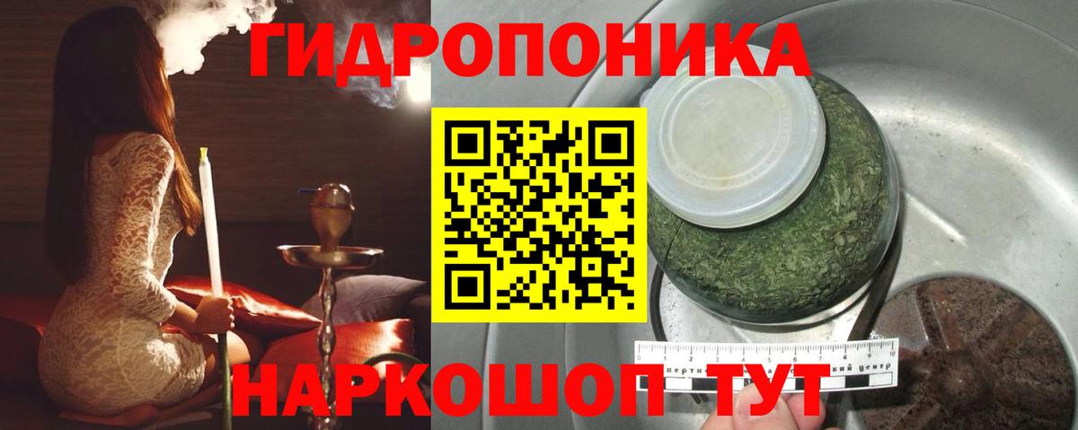 Конопля Amnesia  Вход с VPN  Бошки марихуана LSD WEED  Канабис тримм  Курчатов  Марихуана OG Kush 